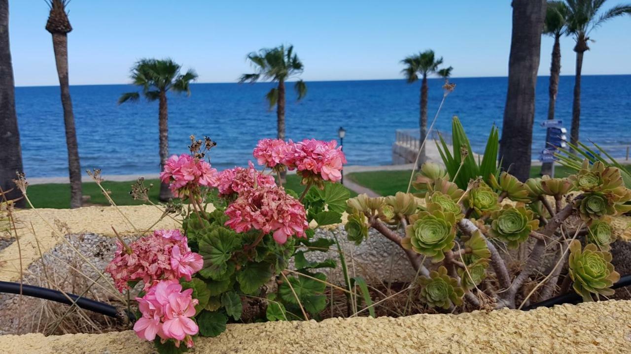 Magnificas Vistas Al Mar Apartment Oropesa del Mar Exterior photo